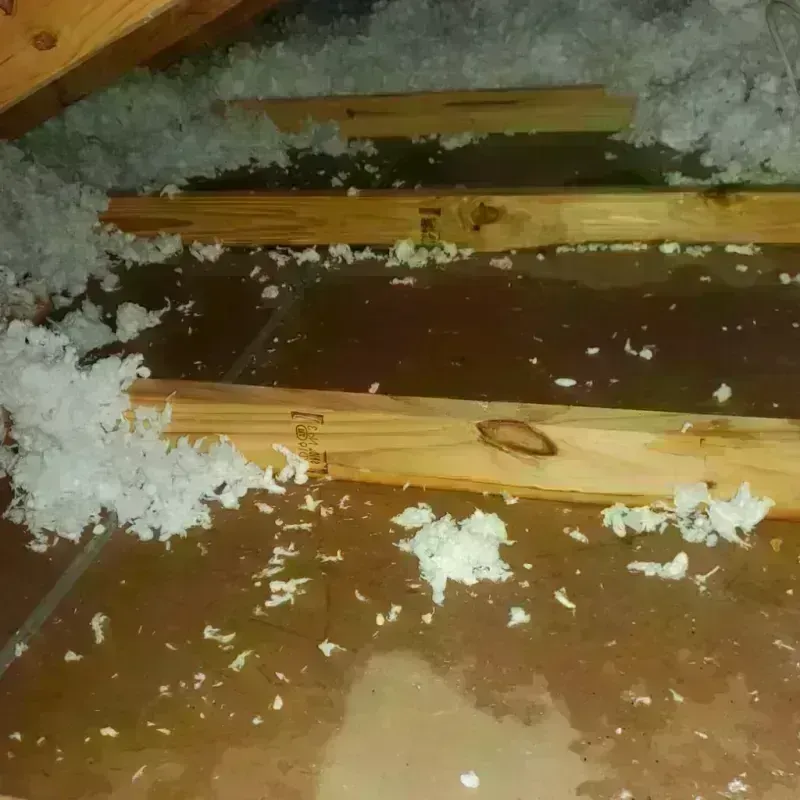 Attic Water Damage in Dickson City, PA