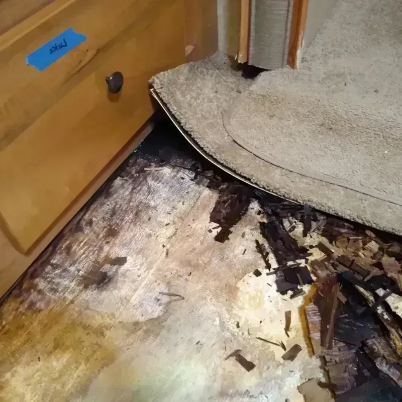 Wood Floor Water Damage in Dickson City, PA